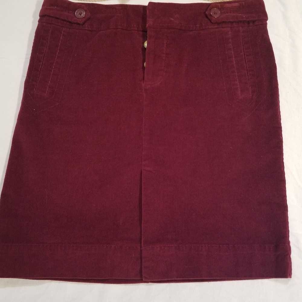 Winter skirt